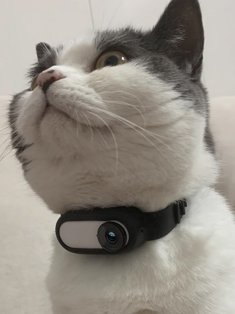 HD 1080P Pet Collar Camera – Wireless Indoor & Outdoor Recording for Cats and Dogs